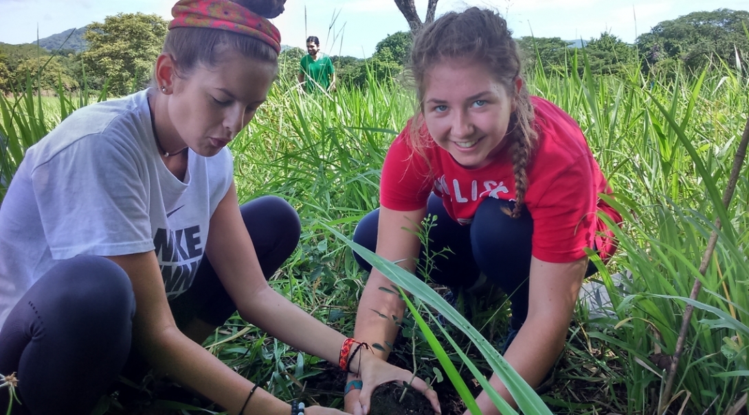 Middle school students replant a sapling in the Costa Rican forest Projects Abroad volunteers help out with reforestation work during the conservation middle school special
